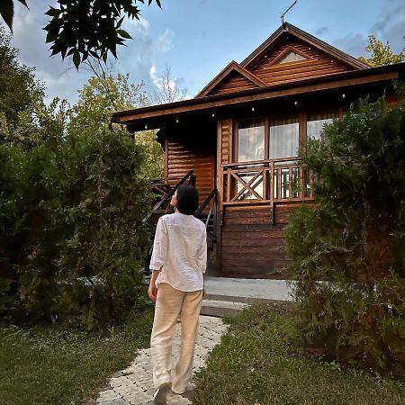 Poiana Bradului Complex Hotelier & Restaurant Colonita Exterior foto